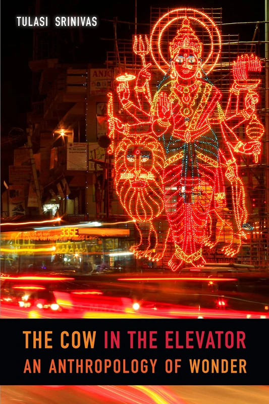 The Cow in the Elevator: An Anthropology of Wonder - Image 1