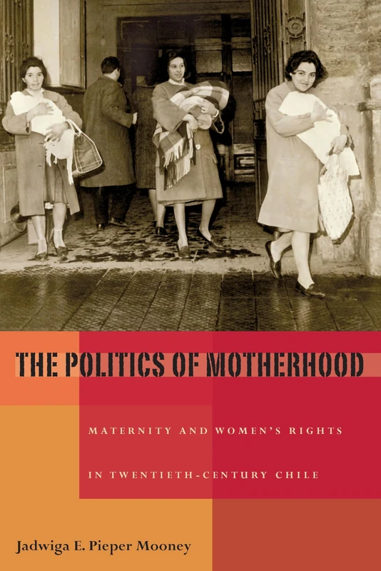 The Politics of Motherhood - Women's Rights in Chile Book