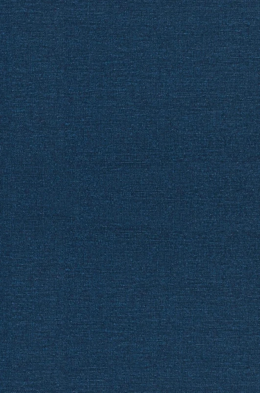 Classic American Philosophers: Peirce, James, Royce, Santayana, Dewey, Whitehead. Selections from Their Writings - Image 1