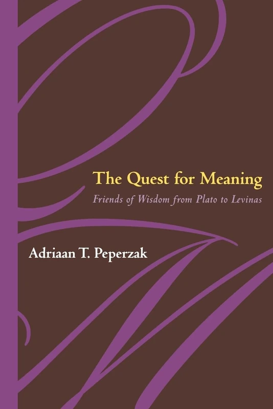 The Quest for Meaning: Friends of Wisdom from Plato to Levinas - Image 1