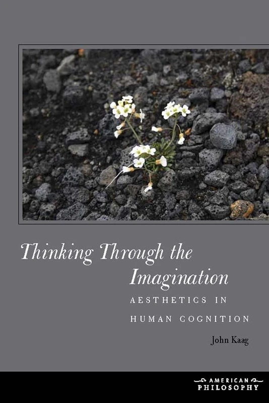 Thinking Through the Imagination: Aesthetics in Human Cognition (American Philosophy)