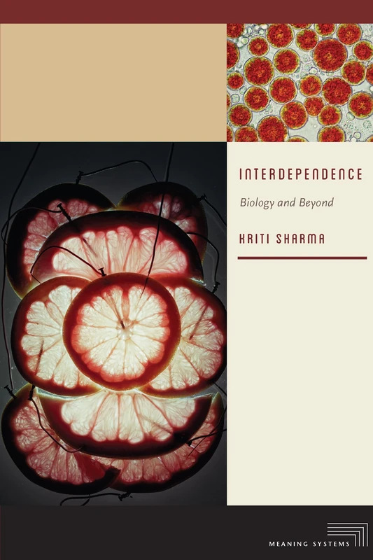 Interdependence: Biology and Beyond (Meaning Systems) - Image 1