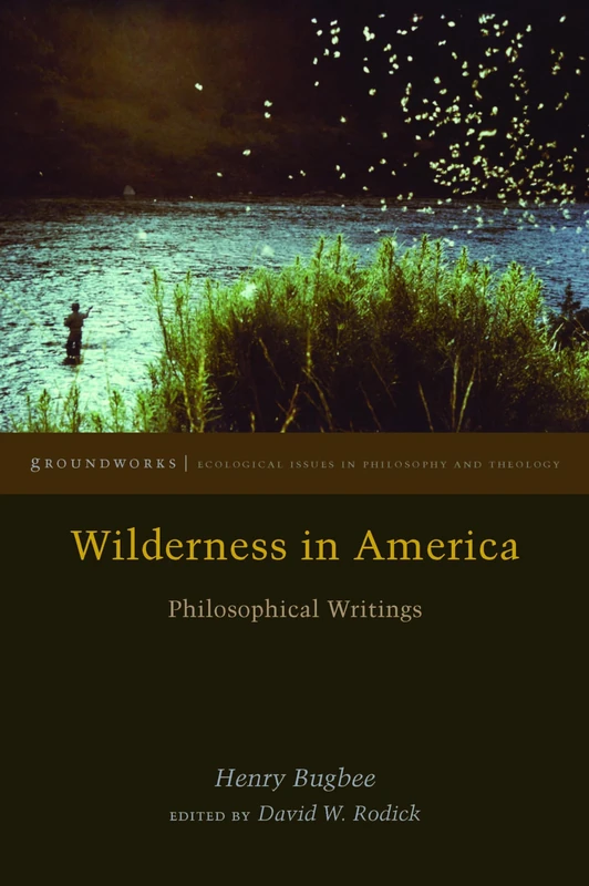 Wilderness in America: Philosophical Writings (Groundworks: Ecological Issues in Philosophy and Theology) - Image 1