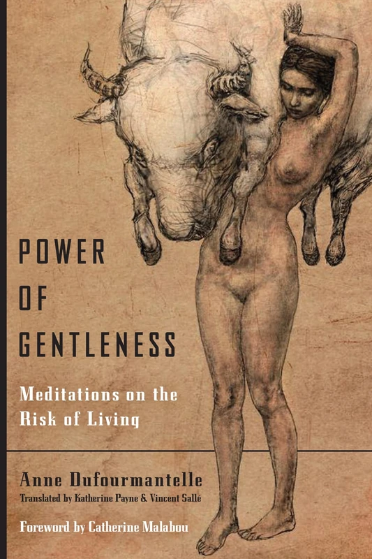 Power of Gentleness: Meditations on the Risk of Living - Books