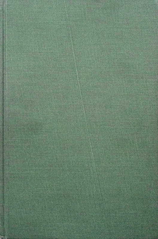 New Deal For The Newcomer (Modern American History)