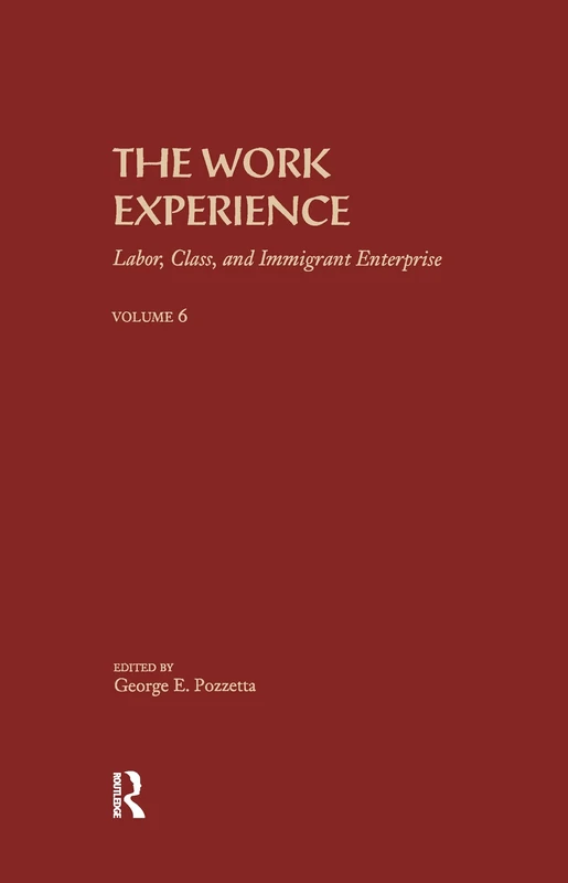 The Work Experience: Labor, Class & Immigrant Enterprise: 6 (Immigration and Ethnicity Series)