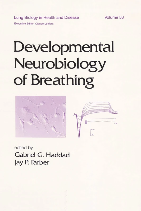 Developmental Neurobiology of Breathing: 53 (Lung Biology in Health and Disease)