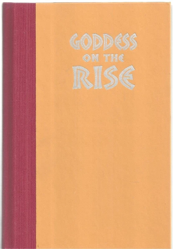 Goddess on the Rise: Pilgrimage and Popular Religion in Vietnam