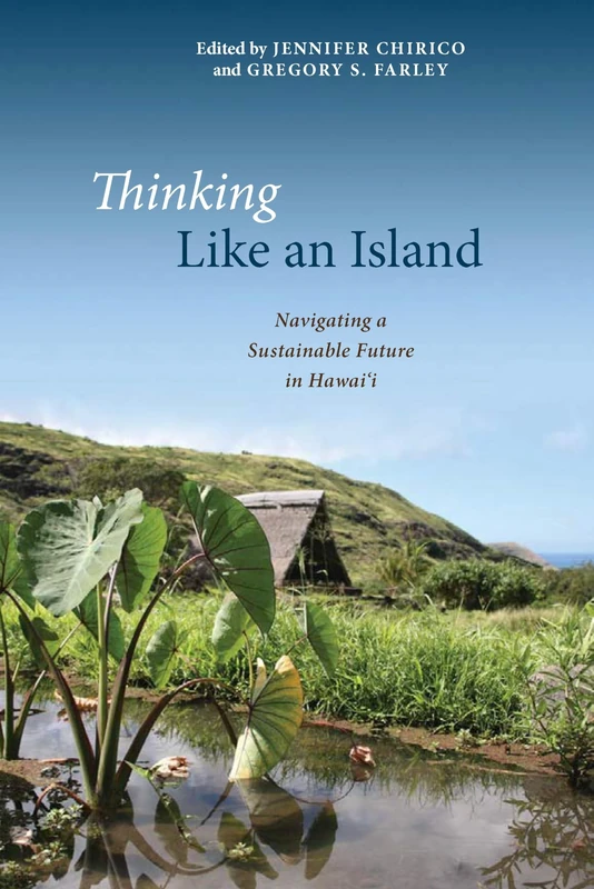 Thinking Like an Island: Navigating a Sustainable Future in Hawaiaei - Image 1