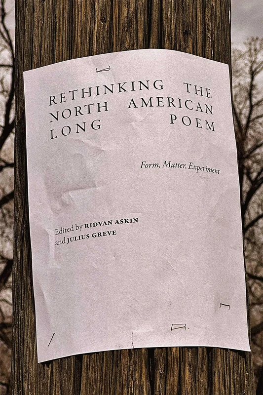 Rethinking the North American Long Poem: Form, Matter, Experiment (Recencies Series: Research and Recovery in Twentieth-Century American Poetics)