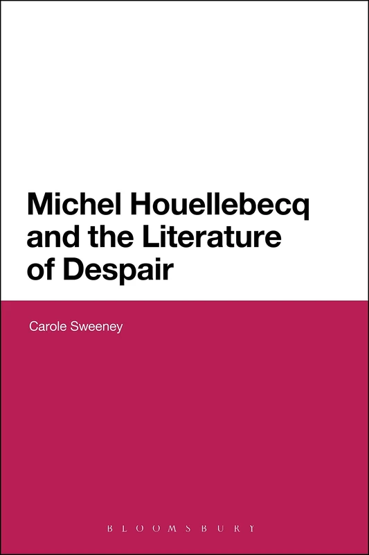 Michel Houellebecq and the Literature of Despair (Continuum Literary Studies)