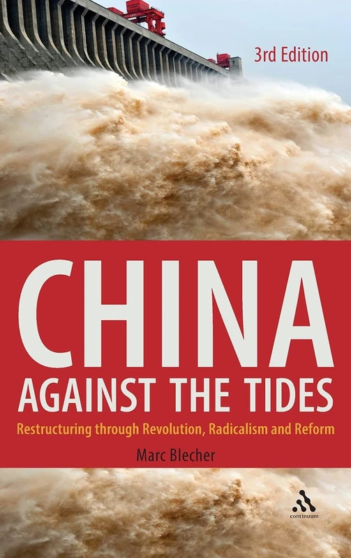 China Against the Tides: Restructuring Through Revolution, Radicalism and Reform