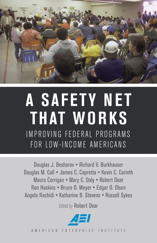 A Safety Net That Works: Improving Federal Programs for Low-Income Americans (American Enterprise Institute) - Image 1