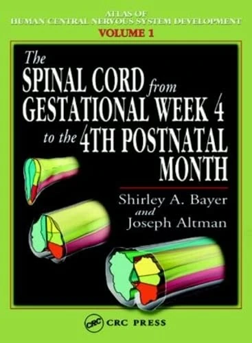 The Spinal Cord from Gestational Week 4 to the 4th Postnatal Month: 1 (Atlas of Human Central Nervous System Development)