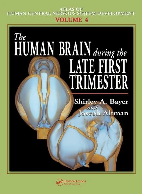The Human Brain During the Late First Trimester: 4 (Atlas of Human Central Nervous System Development)
