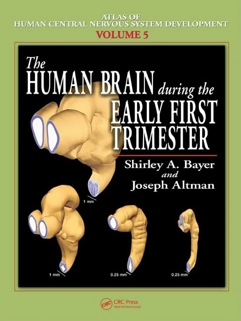 The Human Brain During the Early First Trimester: 05 (Atlas of Human Central Nervous System Development)