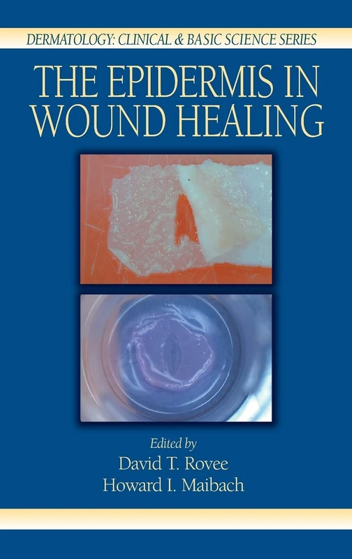 The Epidermis in Wound Healing: 22 (Dermatology: Clinical & Basic Science) - Image 1