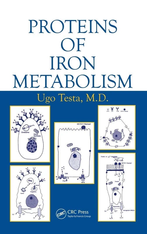 Proteins of Iron Metabolism