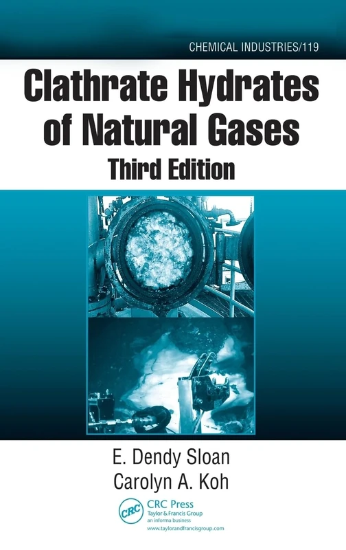 Clathrate Hydrates of Natural Gases: V. 73 (Chemical Industries)