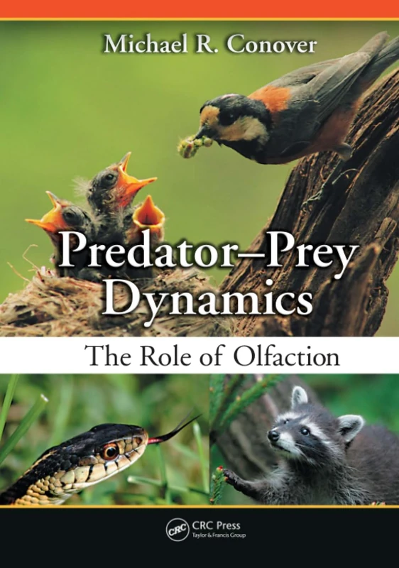 Predator-Prey Dynamics: The Role of Olfaction
