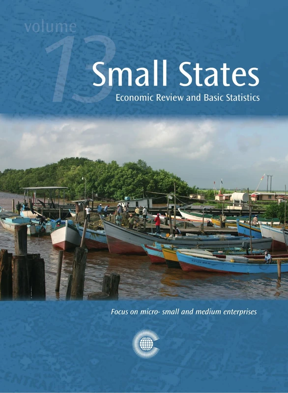 Small States: Economic Review and Basic Statistics, Volume 13: Vol. 13