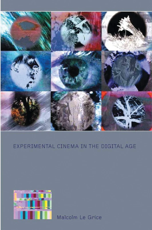 Experimental Cinema in the Digital Age (BFI Film Classics)