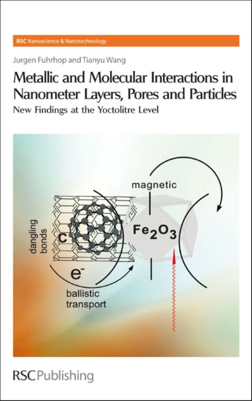 Metallic and Molecular Interactions in Nanometer Layers, Pores and Particles: New Findings at the Yoctolitre Level: Volume 10 (Nanoscience & Nanotechnology Series)