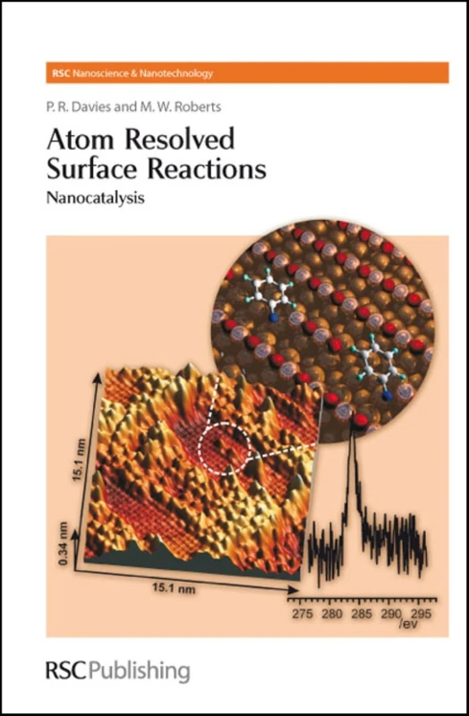 Atom Resolved Surface Reactions: Nanocatalysis: Volume 4 (Nanoscience & Nanotechnology Series)