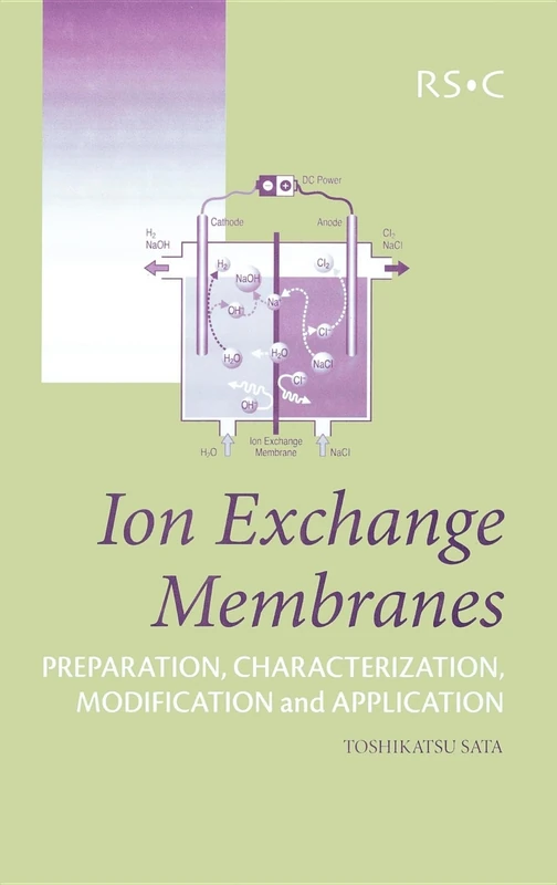 Ion Exchange Membranes: Preparation, Characterization, Modification and Application