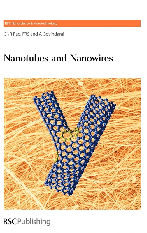 Nanotubes and Nanowires: Volume 1 (Nanoscience & Nanotechnology Series)