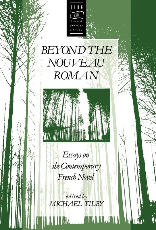 Beyond the Nouveau Roman: Essays on the Contemporary French Novel: v. 2 (Berg French Studies Series)