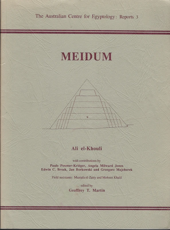 Meidum: 3 (ACE Reports)