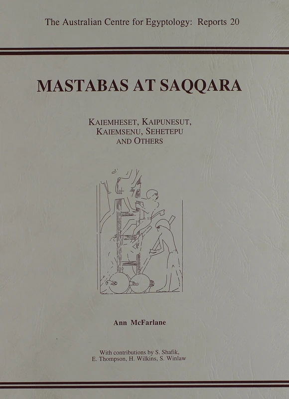 Mastabas at Saqqara: Kaiemheset, Kaipunesut, kaiemsenu, Sehetepu and others: 20 (ACE Reports)