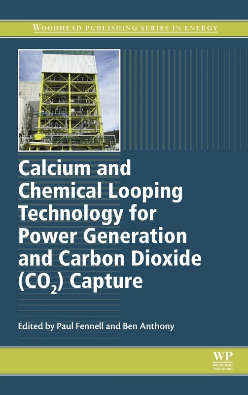 Calcium and Chemical Looping Technology for Power Generation and Carbon Dioxide (Co2) Capture: Solid Oxygen- and CO2-carriers (Woodhead Publishing Series in Energy)