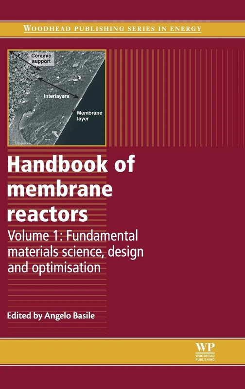 Handbook of Membrane Reactors: Volume 1: Fundamental Materials Science, Design and Optimisation (Woodhead Publishing Series in Energy)