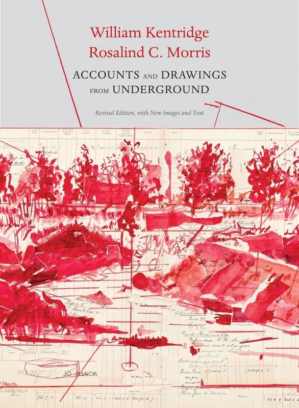 Accounts and Drawings from Underground: The East Rand Proprietary Mines Cash Book (Africa List)