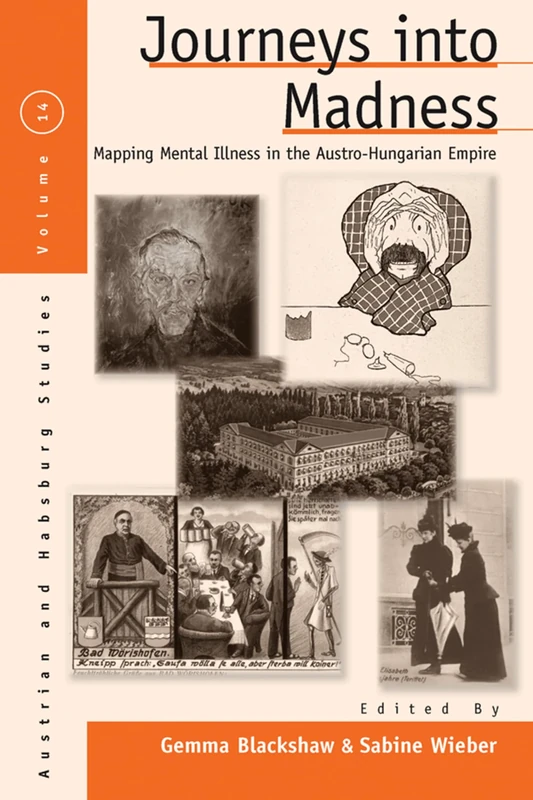 Journeys Into Madness: Mapping Mental Illness in the Austro-Hungarian Empire: 14 (Austrian and Habsburg Studies, 14)