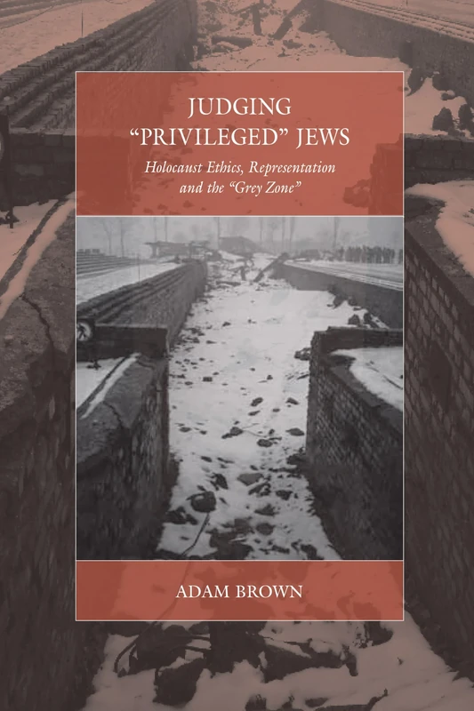 Judging 'Privileged' Jews: Holocaust Ethics, Representation, and the 'Grey Zone': 18 (War and Genocide, 18)