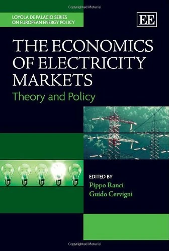The Economics of Electricity Markets: Theory and Policy (Loyola de Palacio Series on European Energy Policy)