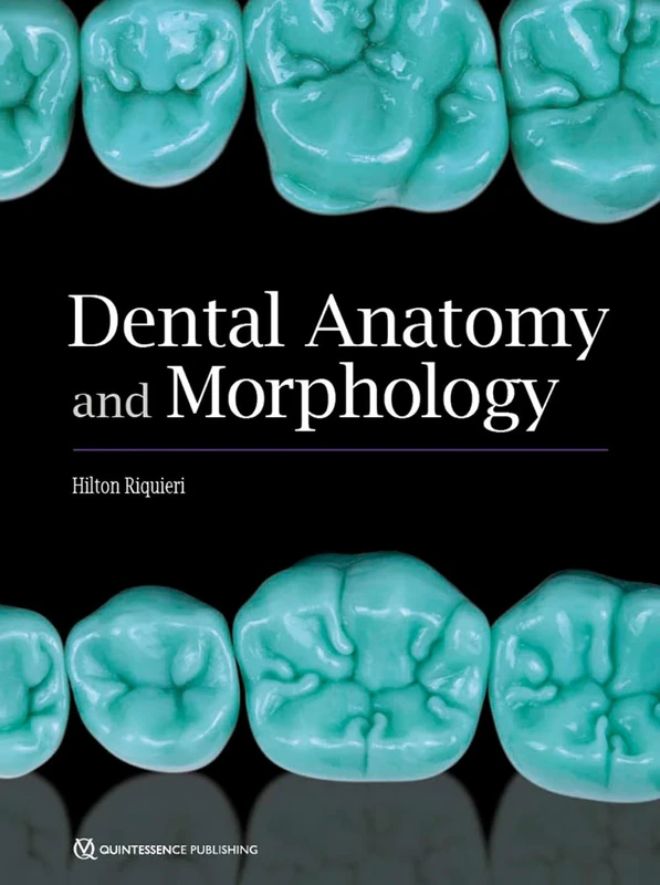 Dental Anatomy and Morphology - Image 1