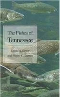 Fishes Of Tennessee
