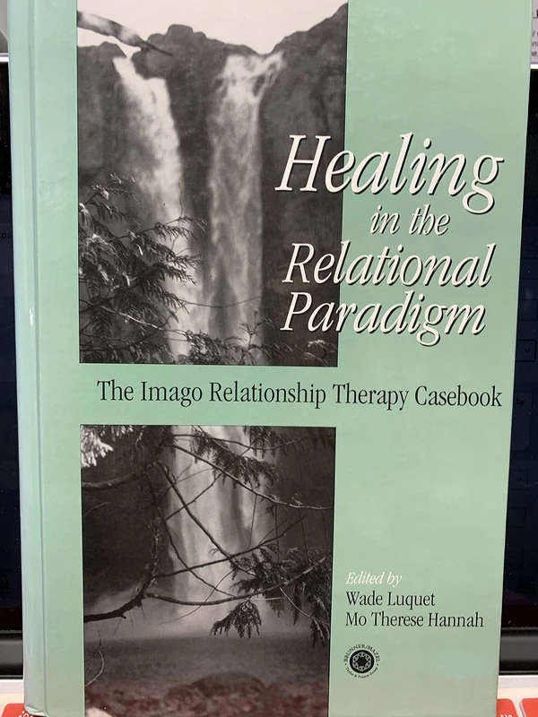 Healing in the Relational Paradigm: The Imago Relationship Therapy Casebook