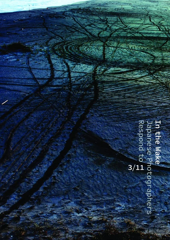 In the Wake: Japanese Photographers Respond to 3/11