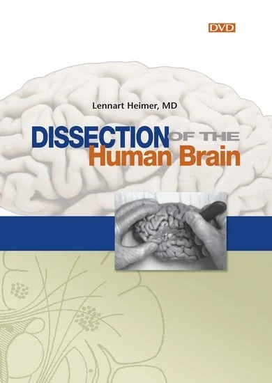 Dissection of the Human Brain [DVD] - Image 1