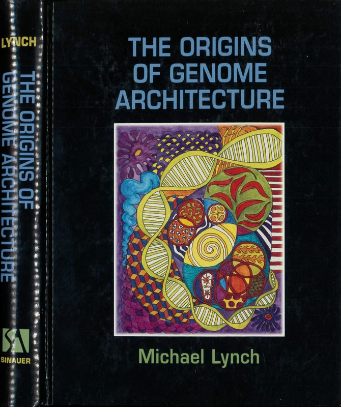 The Origins of Genome Architecture