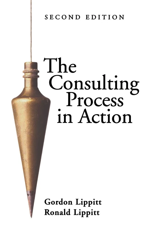 Consulting Process in Action 2e Rev