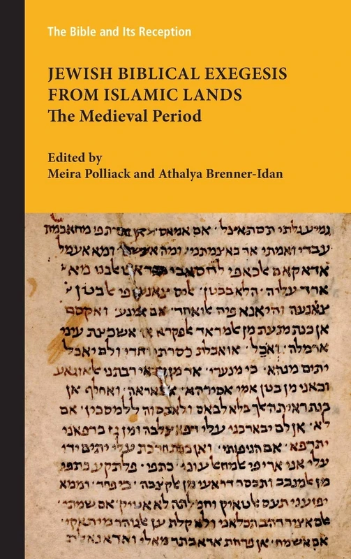 Jewish Biblical Exegesis from Islamic Lands: The Medieval Period (Bible and Its Reception)
