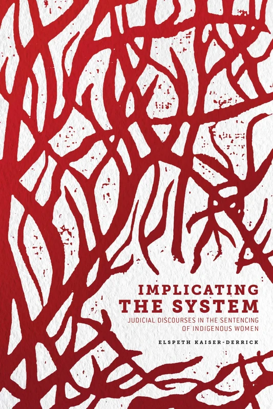 Implicating the System: Judicial Discourses in the Sentencing of Indigenous Women: 3 (Human Rights and Social Justice)
