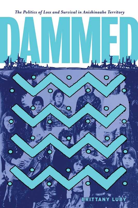 Dammed: The Politics of Loss and Survival in Anishinaabe Territory: 21 (Critical Studies in Native History)