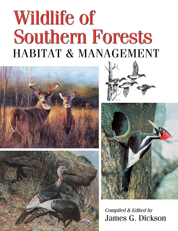 Wildlife of Southern Forests: habitat & management - Image 1